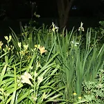 Vakantiehuis Charmante Normannische Les Chataigniers 2 By Interhome Bretteville-du-Grand Caux