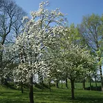 Vakantiehuis Charmante Normannische Les Chataigniers 2 By Interhome *