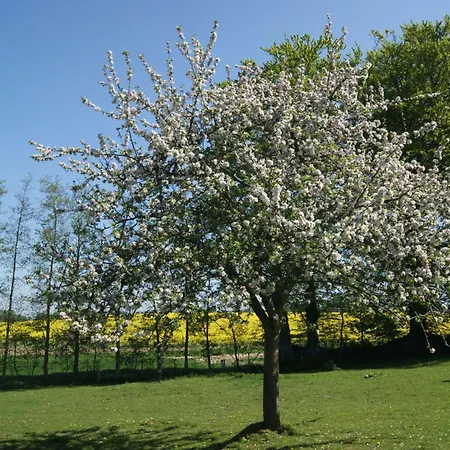 בית נופש Charmante Normannische Les Chataigniers 2 By Interhome Bretteville-du-Grand Caux