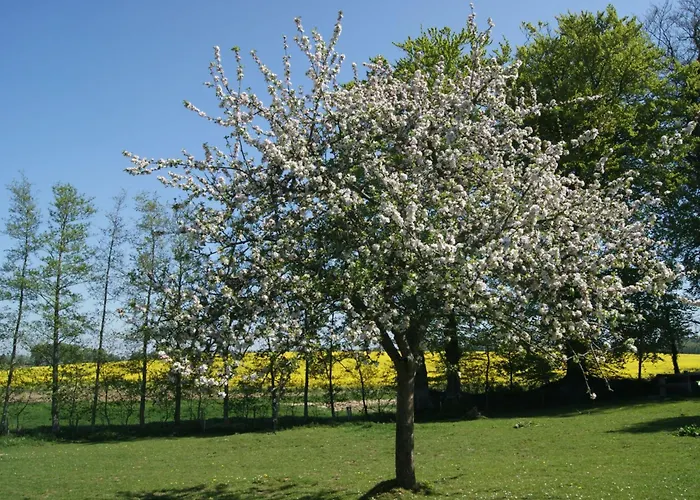 Dom wakacyjny Charmante Normannische Les Chataigniers 2 By Interhome Bretteville-du-Grand Caux