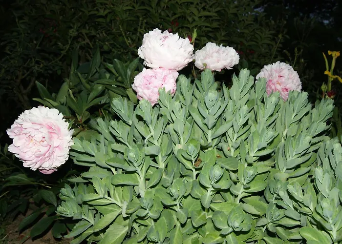 Tatil Evi Charmante Normannische Les Chataigniers 2 By Interhome Bretteville-du-Grand Caux