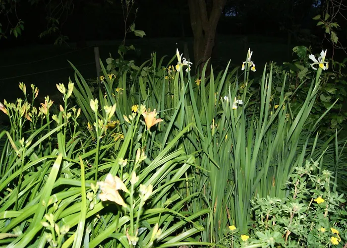 Tatil Evi Charmante Normannische Les Chataigniers 2 By Interhome Bretteville-du-Grand Caux