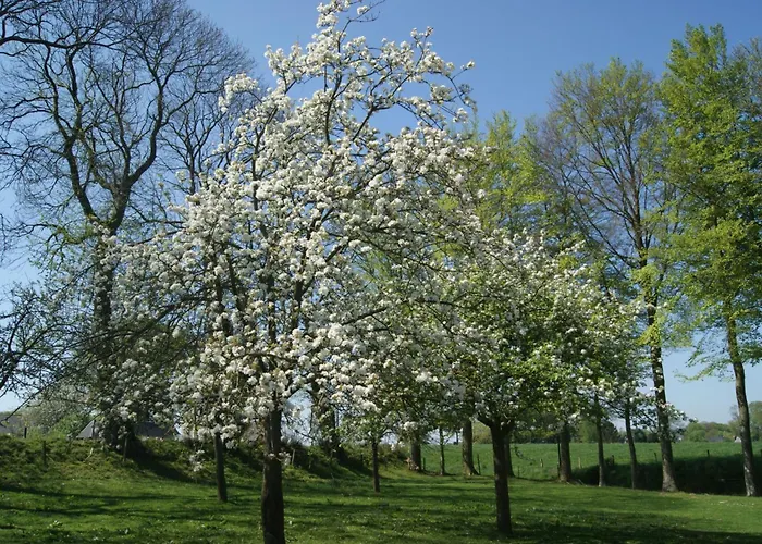 Dom wakacyjny Charmante Normannische Les Chataigniers 2 By Interhome *